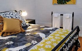 Pips On Mitchell - Beautiful Historic Apartment